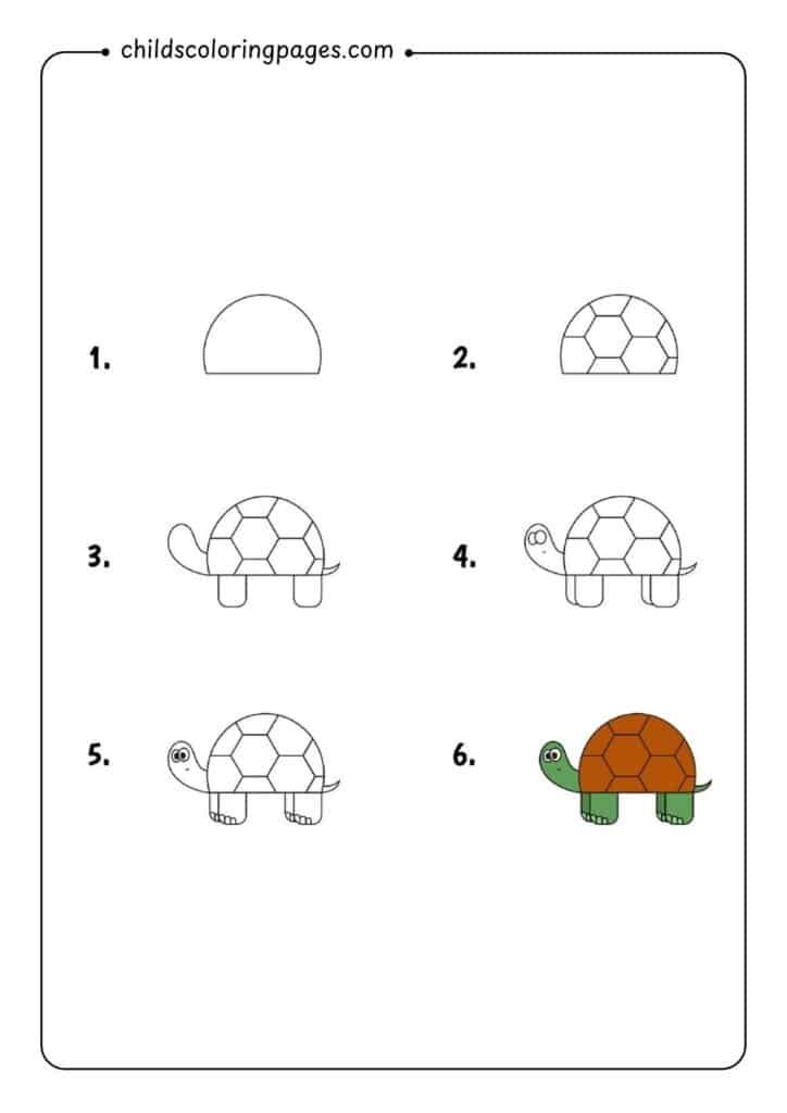 How to Draw a Simple Turtle